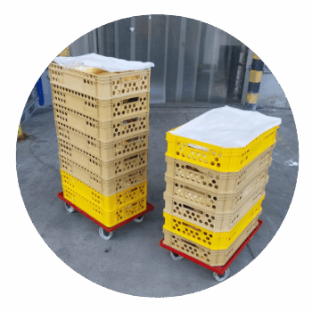 Pečivo - rohlíky a bagetky